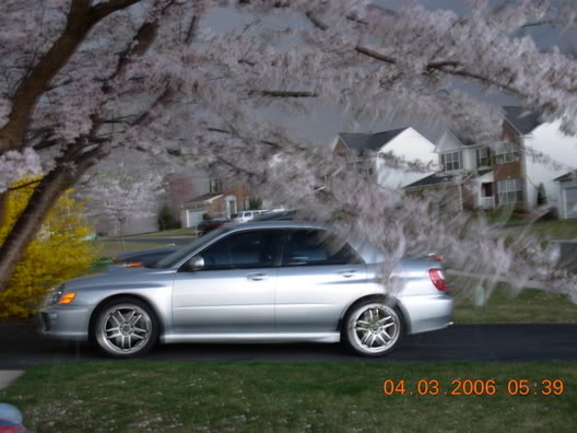 photo 3 Subaru Impreza WRX custom wheels Subzero  18x, ET , tire size X R18. x ET 