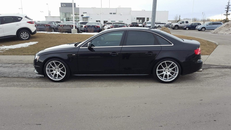 photo 1 Audi A4 custom wheels Niche Targa 19x9.5, ET , tire size 255/35 R19. x ET