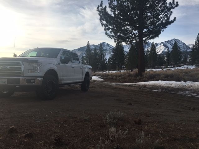 photo 1 Ford F-150 custom wheels Pro Comp 5034  18x9.0, ET 0, tire size 275/70 R18. x ET 