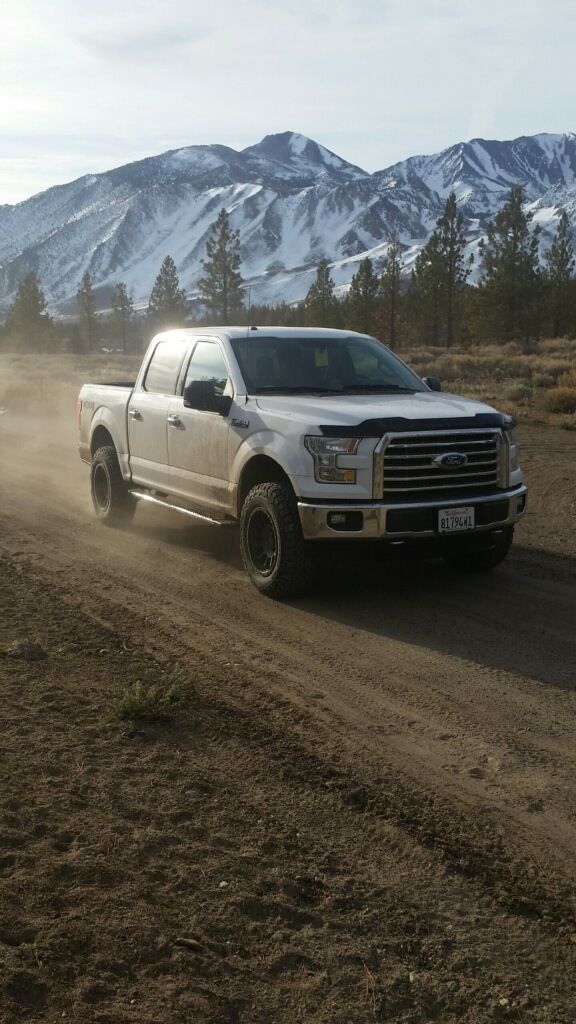 photo 2 Ford F-150 custom wheels Pro Comp 5034  18x9.0, ET 0, tire size 275/70 R18. x ET 