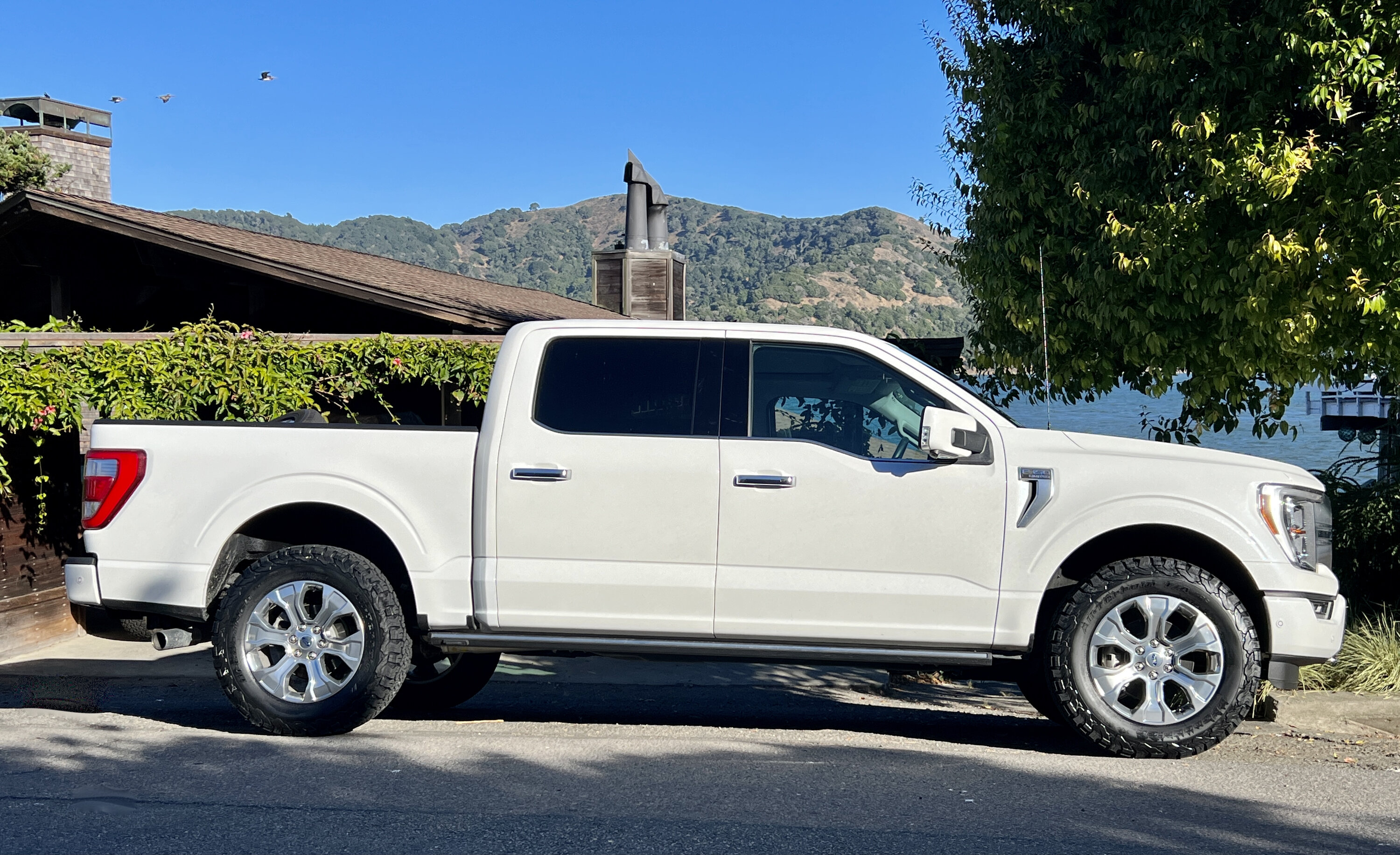 photo 1 Ford F-150 custom wheels  OEM Stock Platinum 20, 95050 20x, ET , tire size 285/65 R20. x ET 