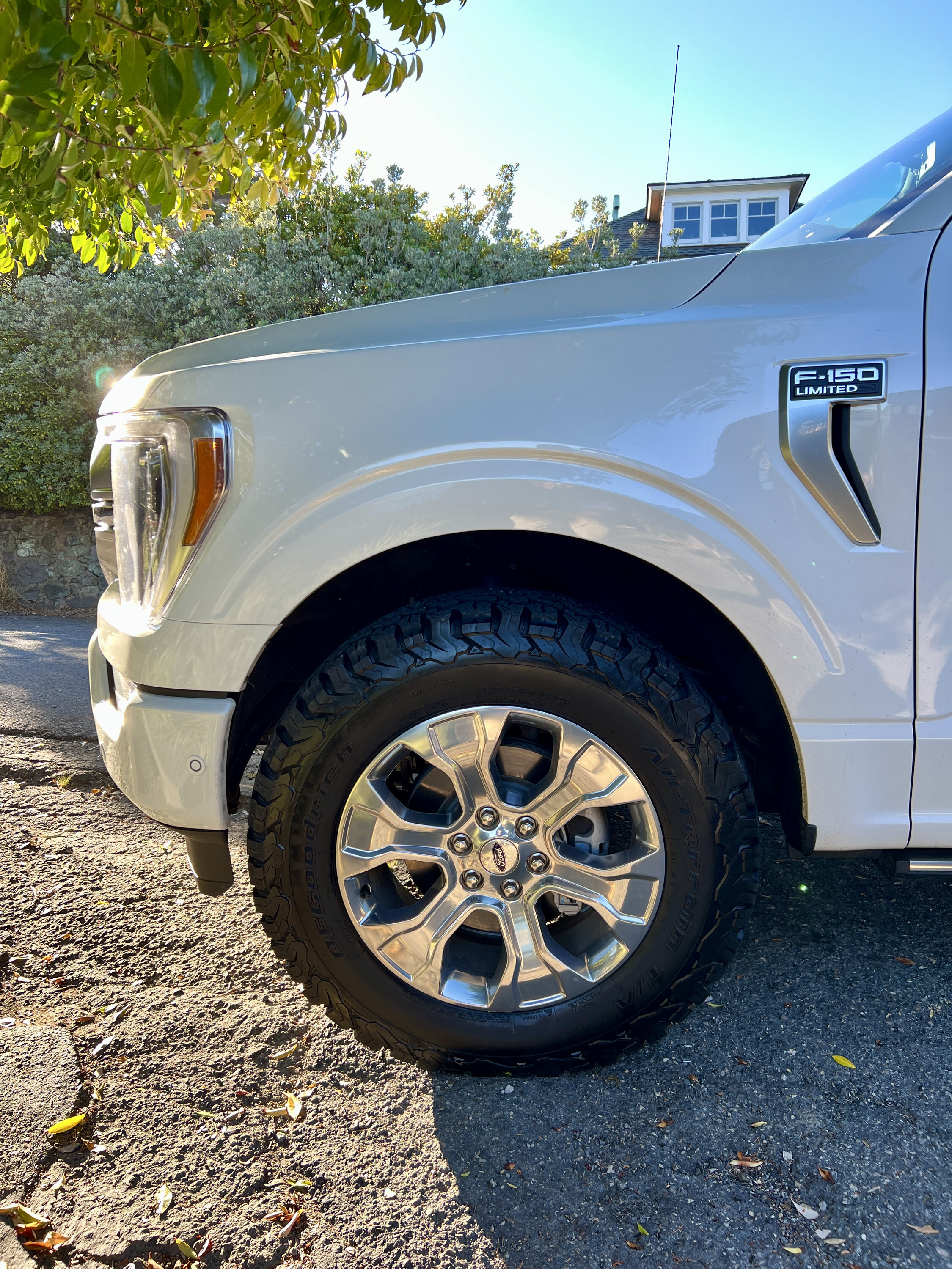 photo 2 Ford F-150 custom wheels  OEM Stock Platinum 20, 95050 20x, ET , tire size 285/65 R20. x ET 