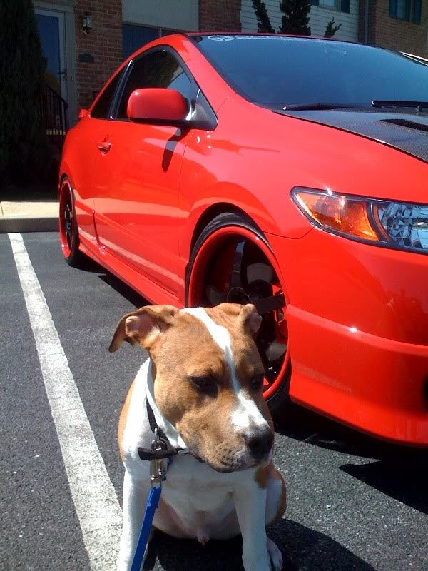 photo 2 Honda Civic custom wheels Roja  Formula 5 19x8.0, ET , tire size 225/35 R19. x ET 