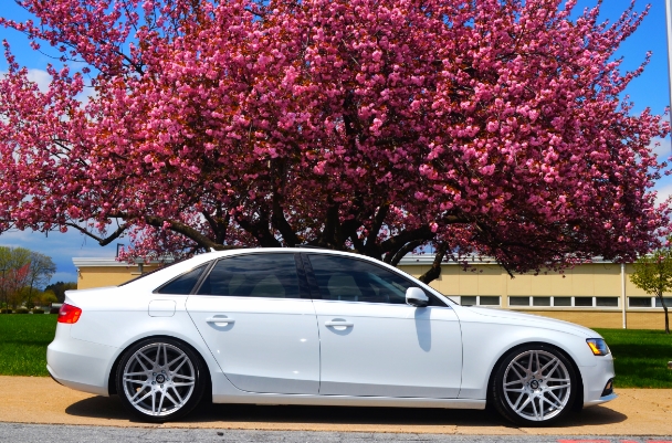 photo 2 Audi A4 custom wheels VIP  Modular 19x9.5, ET +35, tire size 245/35 R19. x ET 