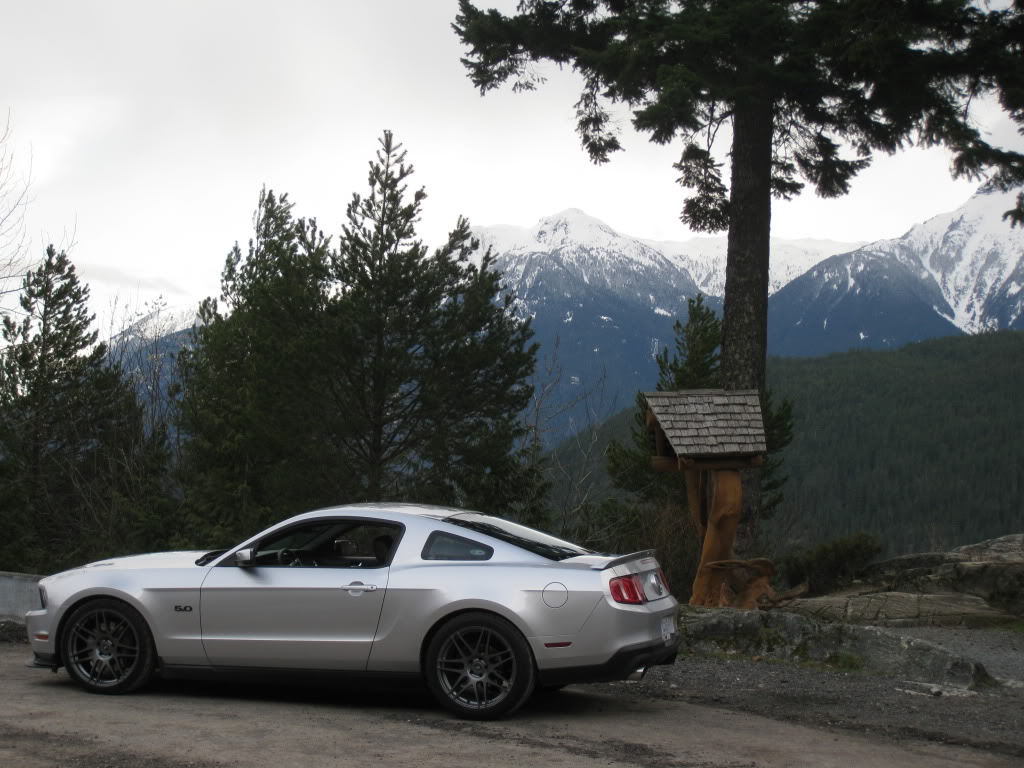 photo 5 Ford Mustang custom wheels Forgestar F14 20x9.0, ET , tire size 255/35 R20. 20x11.0 ET 315/35 R20