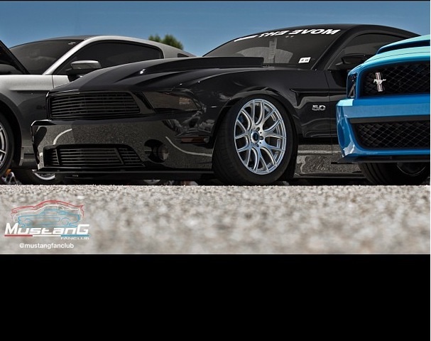 photo 4 Ford Mustang custom wheels SVE  drifts  19x9.5, ET , tire size 275/40 R19. x ET 