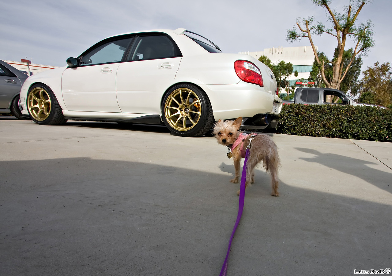 photo 4 Subaru Impreza WRX STi custom wheels Advan RGII 18x10.0, ET +35, tire size 265/35 R18. 18x10.0 ET+35 