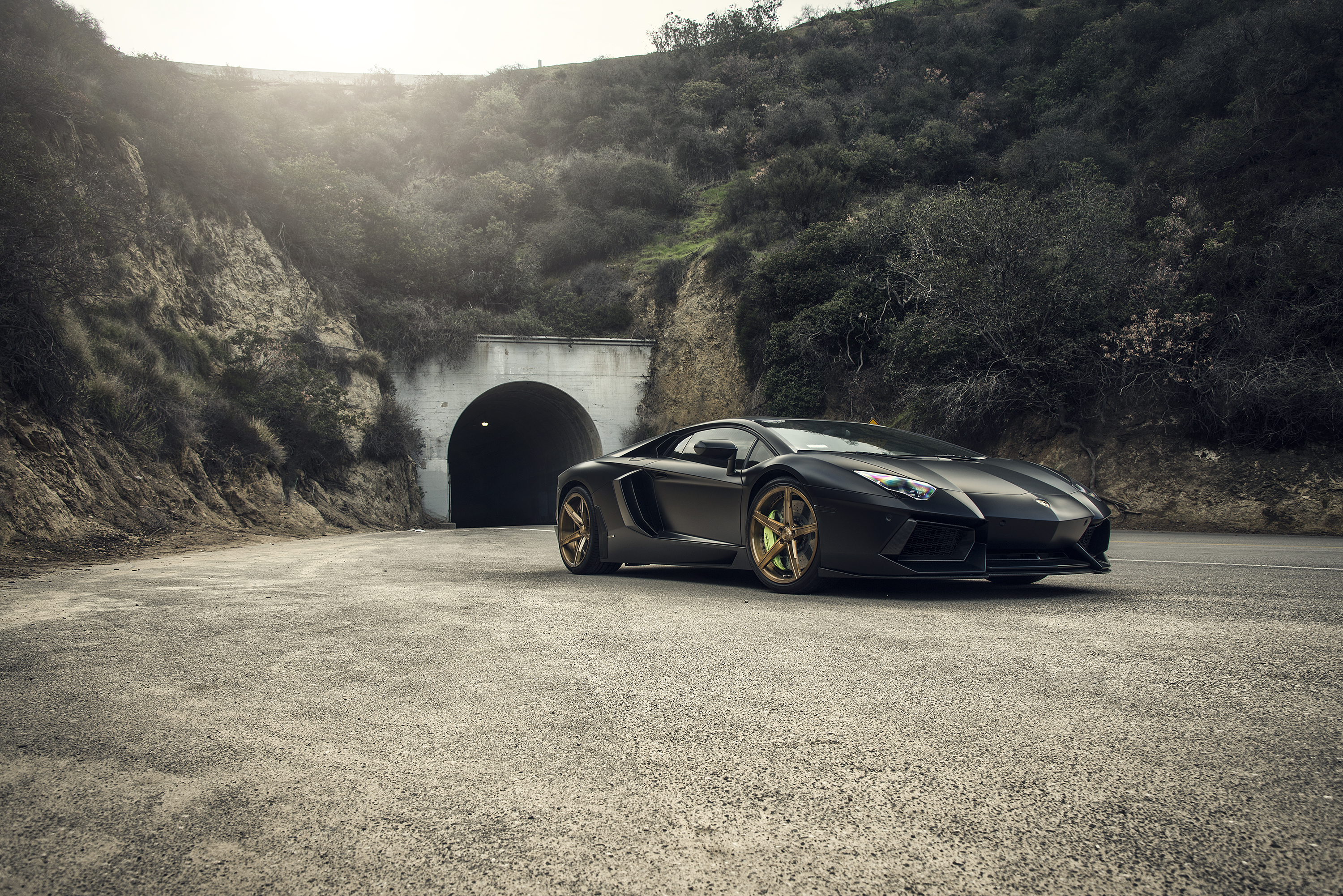 photo 1 Lamborghini Aventador custom wheels SAVINI 20x, ET , tire size X R20. 21x ET