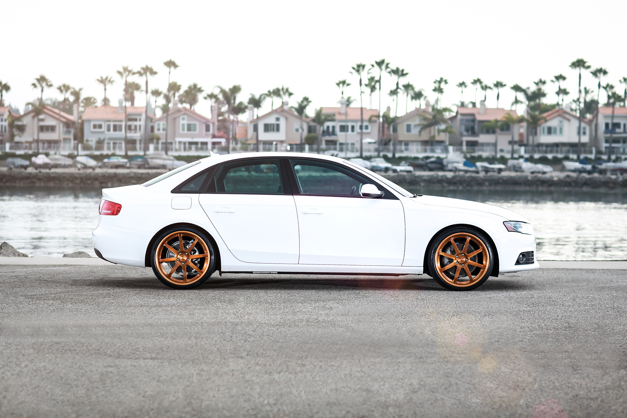 photo 3 Audi S4 custom wheels Niche Vector 20x9.0, ET , tire size X R20. 20x10.0 ET 
