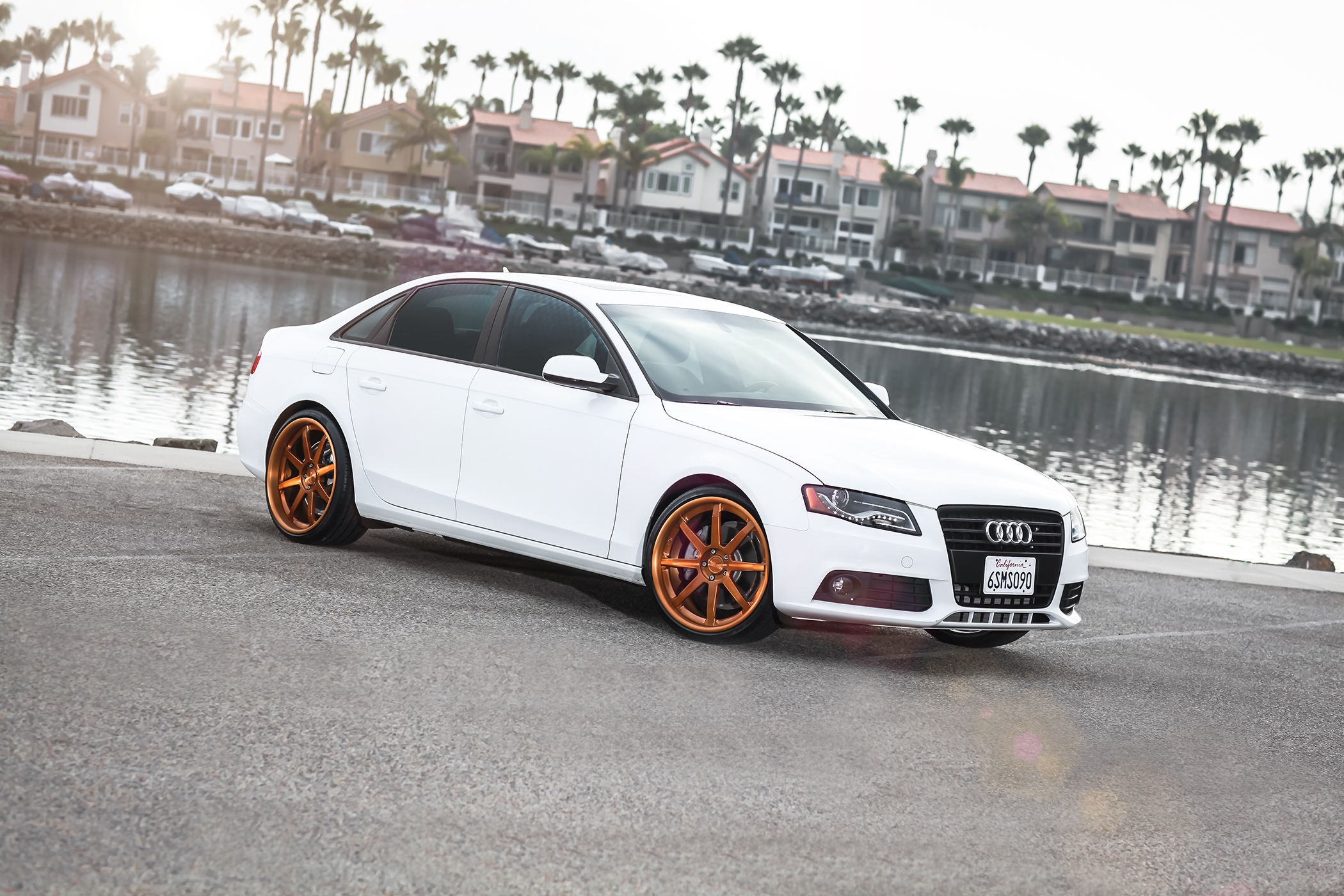 photo 5 Audi S4 custom wheels Niche Vector 20x9.0, ET , tire size X R20. 20x10.0 ET 