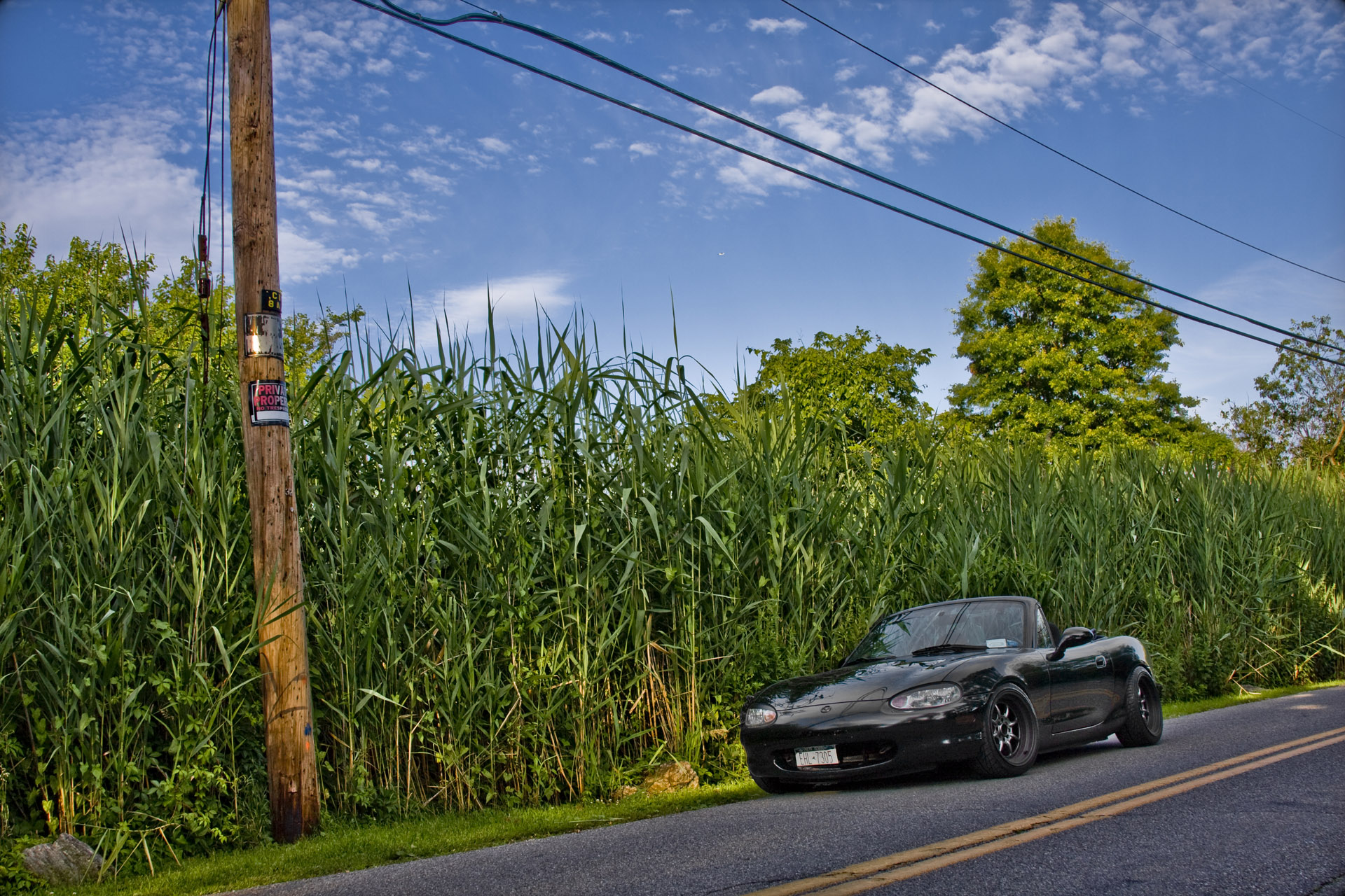 photo 17 Mazda MX-5 Miata custom wheels Sportmax 002 16x8.0, ET 0, tire size 205/40 R16. x ET 